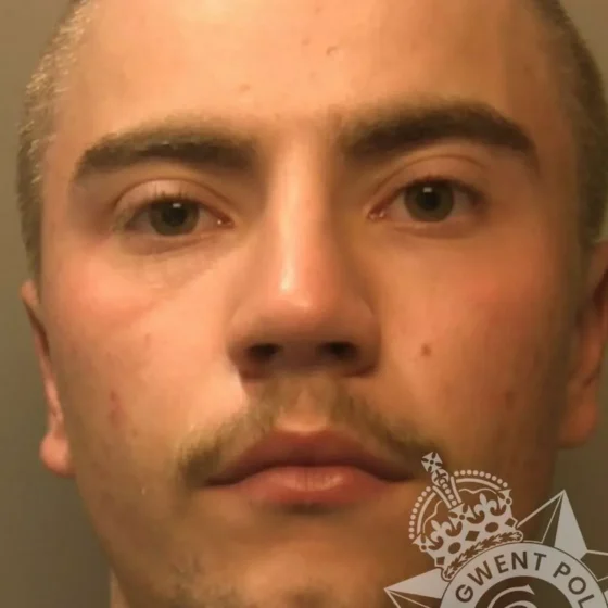 Harry Davies, aged 21, from Devon — Southwalesargus.co case image