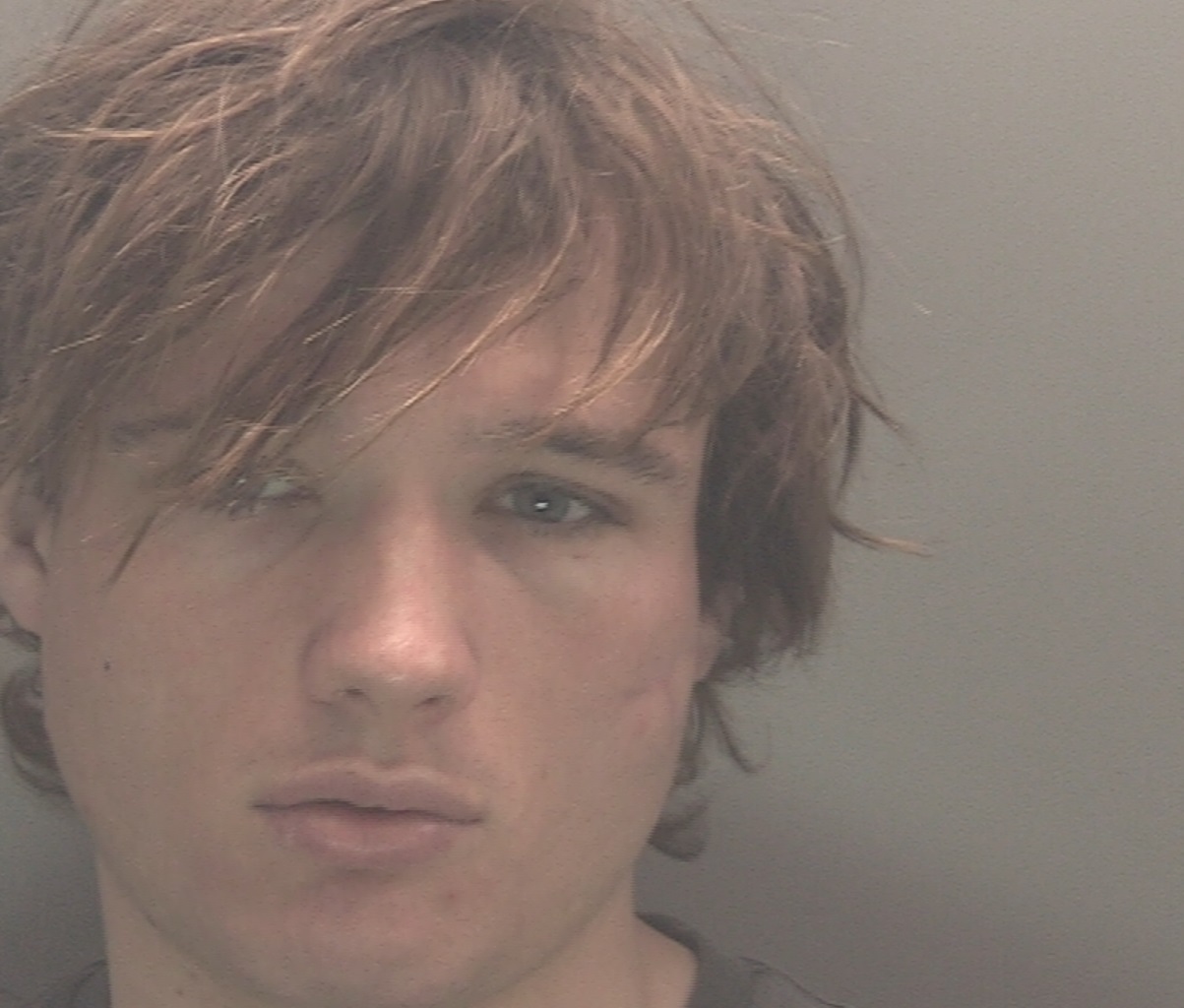 DANIEL WILLIAMS — case image