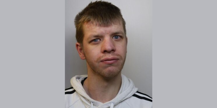 Rhys Jones, aged 27, from Bridgwater, Somerset — case image